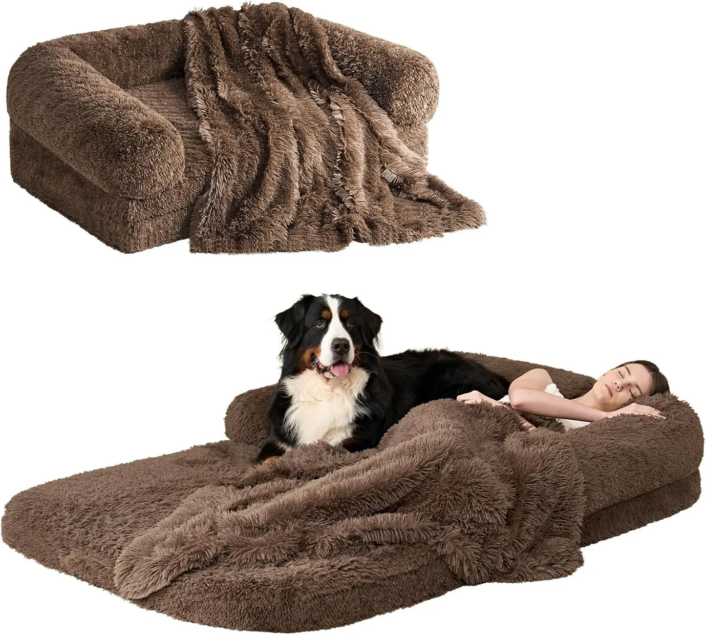 Foldable Bed for Both Humans and Dogs